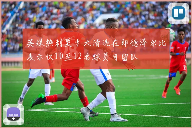 英媒热刺夏季大清洗在即德泽尔比表示仅10至12名球员可留队